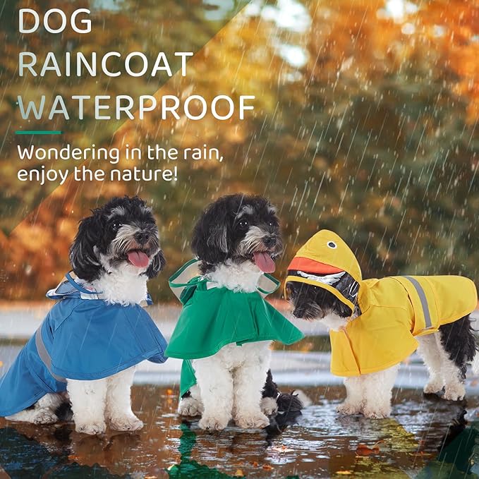 Lucky Ducky Raincoat