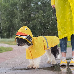 Lucky Ducky Raincoat