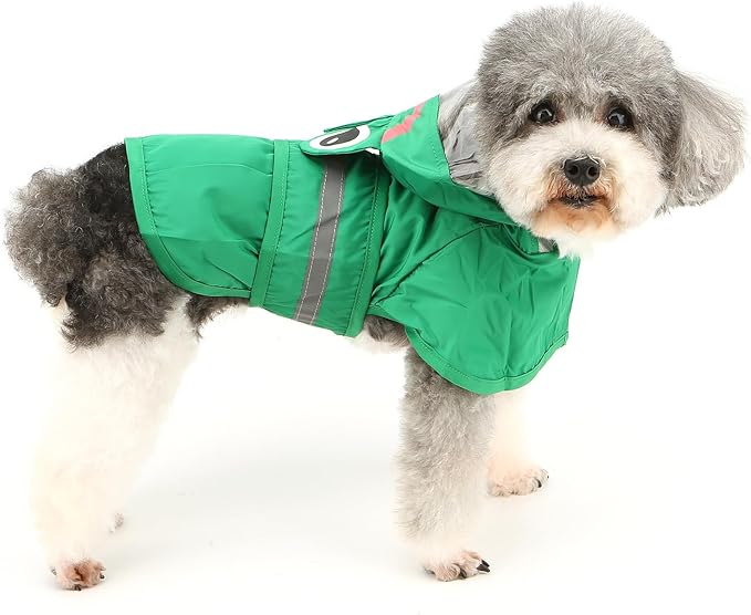 Froggy Doggy Raincoat