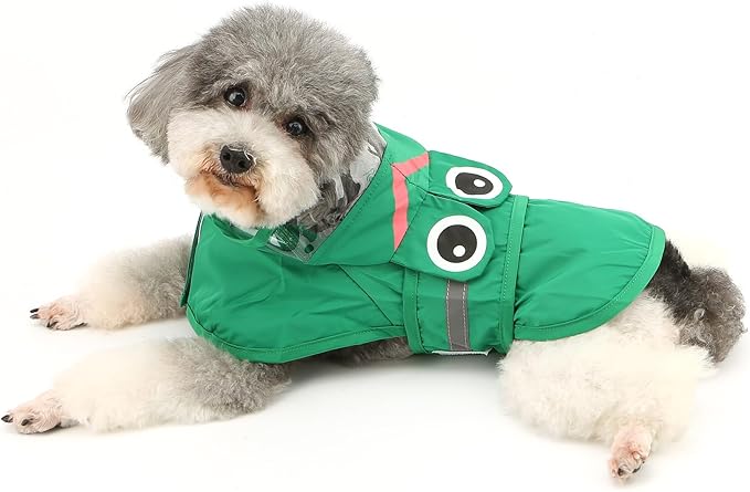 Froggy Doggy Raincoat