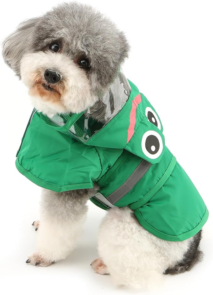 Froggy Doggy Raincoat